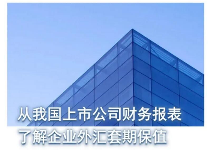 一张图：从我国上市公司财务报表了解企业外汇套期保值